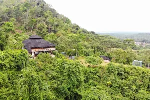 Best Tourist Destinations in Langkat for a Fun and Enjoyable Vacation